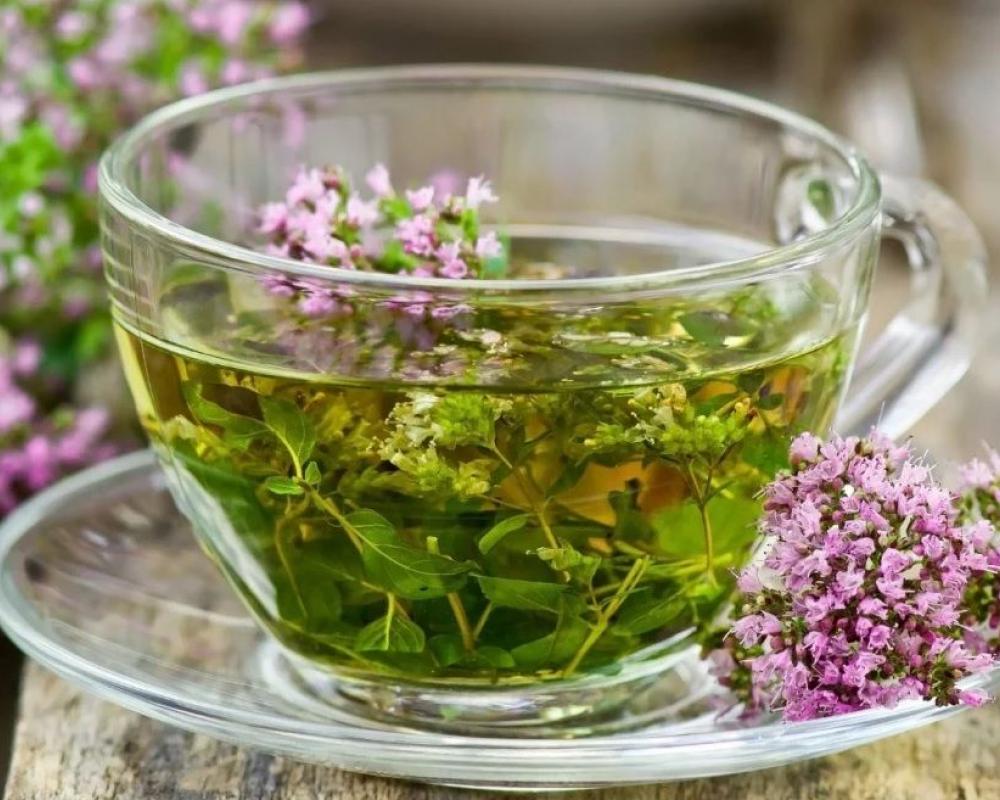 ТРАВЫ, ПОМОГАЮЩИЕ ПОХУДЕТЬ. ТРАВЫ, ПОМОГАЮЩИЕ ПОХУДЕТЬ.